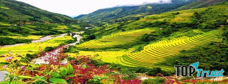 Lí do khiến bạn muốn đi du lịch Sapa ngay lập tức