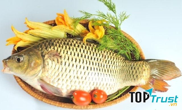 Loại cá giúp con thông minh các mẹ cần quan tâm