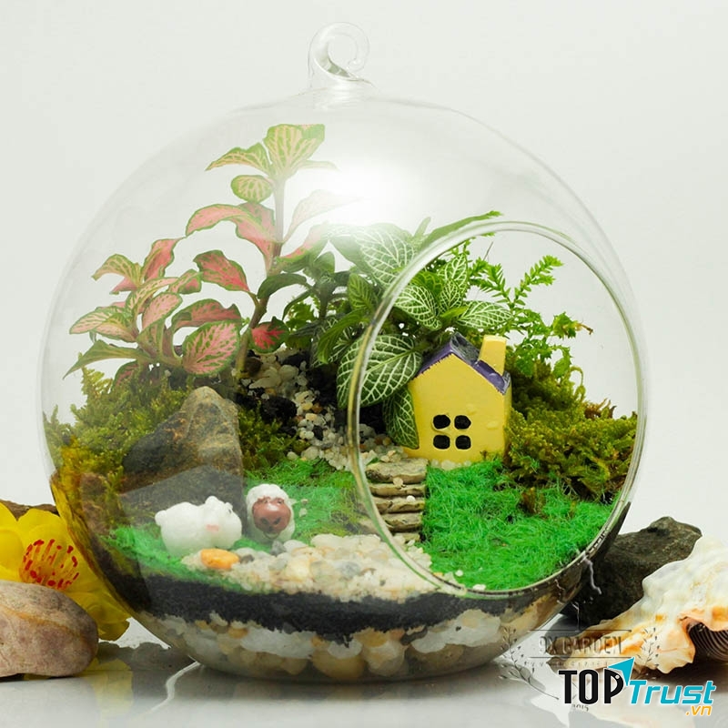 Loại cây cảnh đẹp nên trồng trong nhà