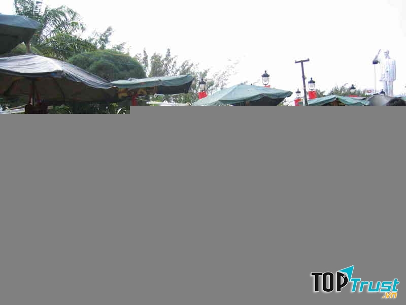 Loài cây chơi Tết của người Việt xưa và nay