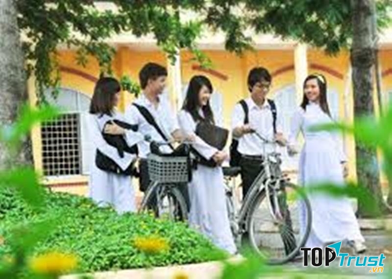 Loài cây gợi nhớ tuổi học trò nhất