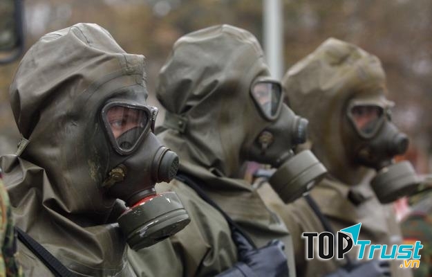 Loại côn trùng được dùng làm vũ khí chiến tranh