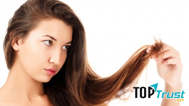 Loại dầu gội cho tóc khô và hư tổn  tốt nhất hiện nay