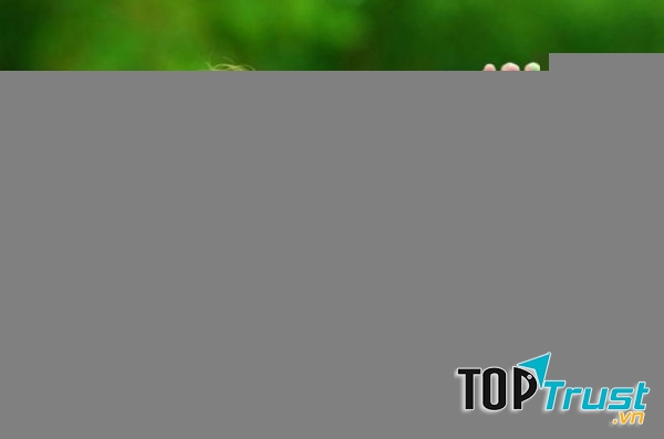 Loại đồ uống quen thuộc có lợi cho sắc đẹp và giảm cân nhanh chóng