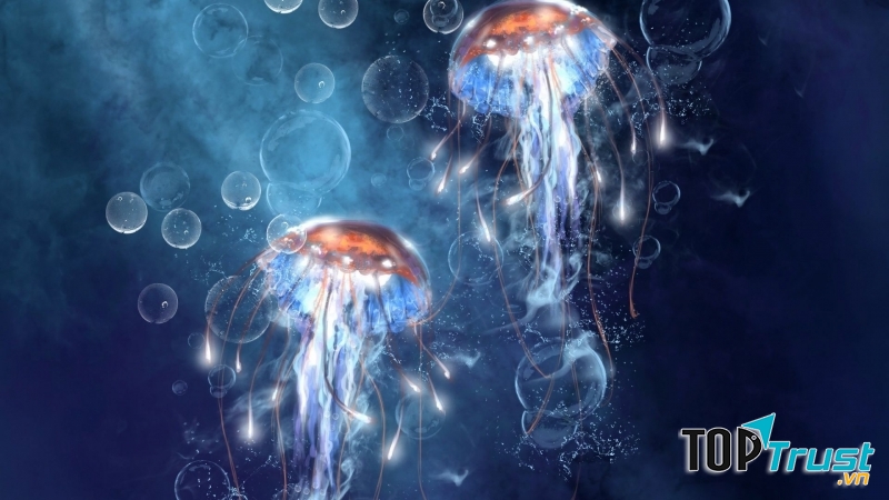 Loài động vật có nọc độc nhất hành tinh