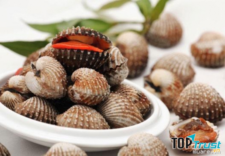 Loài hải sản nổi tiếng nhất Việt Nam