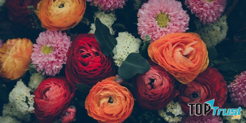 Loài hoa đẹp và ý nghĩa nhất nên dành tặng người yêu vào ngày Valentine 14/2