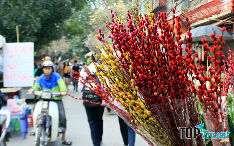 Loại hoa phong thủy cho ngày Tết mang tài lộc cho gia chủ trong năm mới