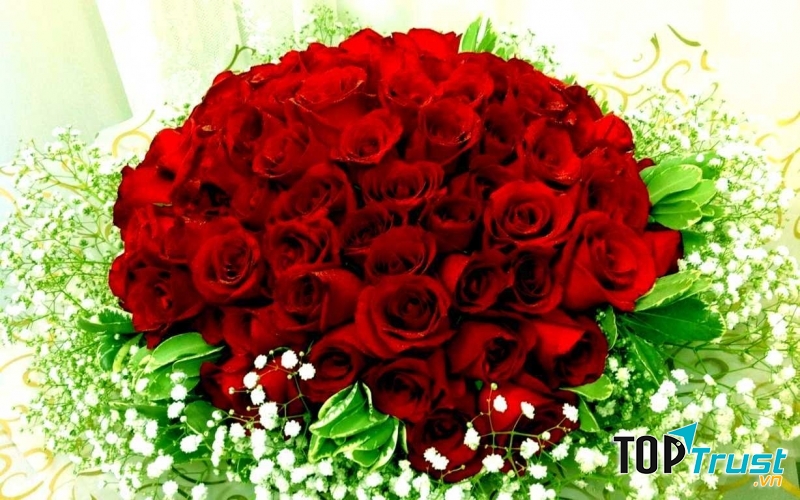 Loài hoa ý nghĩa tặng bạn gái vào ngày Valentine