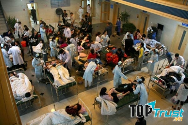 Loại ngộ độc thường gặp nhất tại Việt Nam và cách phòng tránh