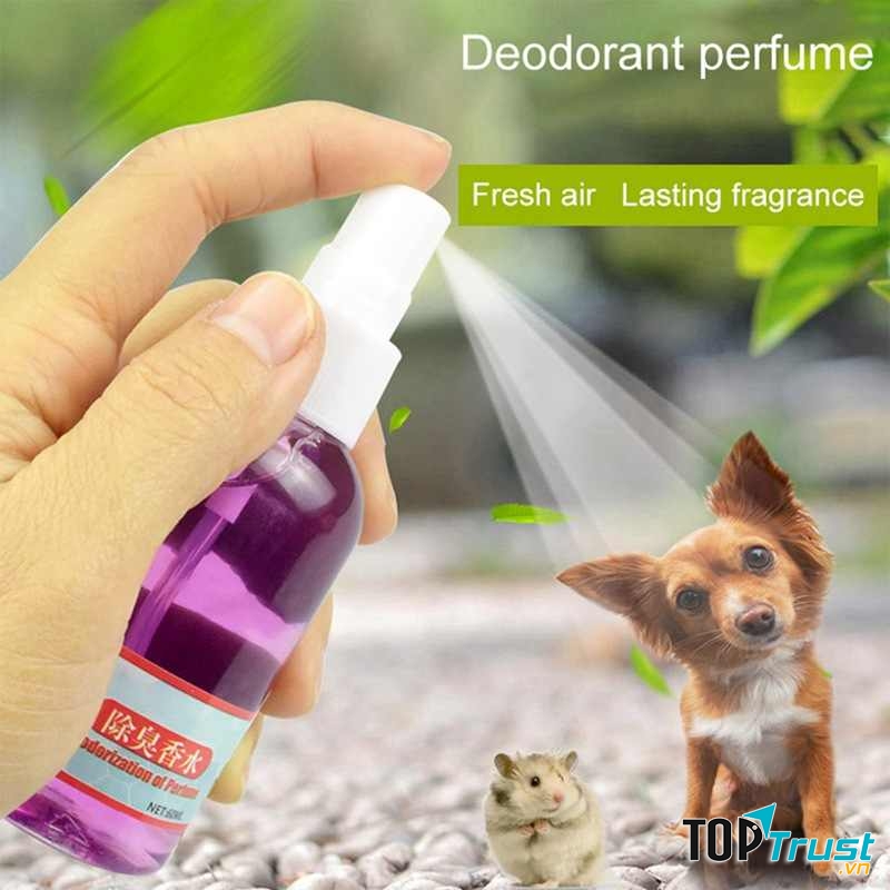 Loại nước hoa tốt nhất cho thú cưng