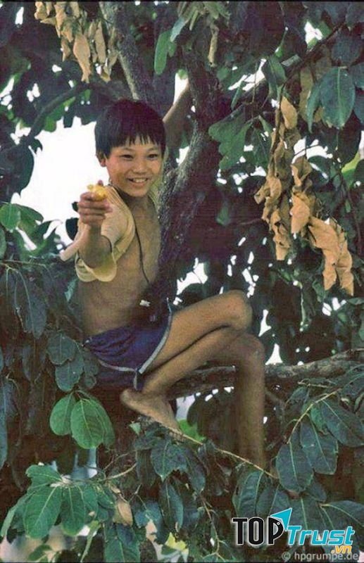 Loại quả gợi nhớ nhất về tuổi thơ