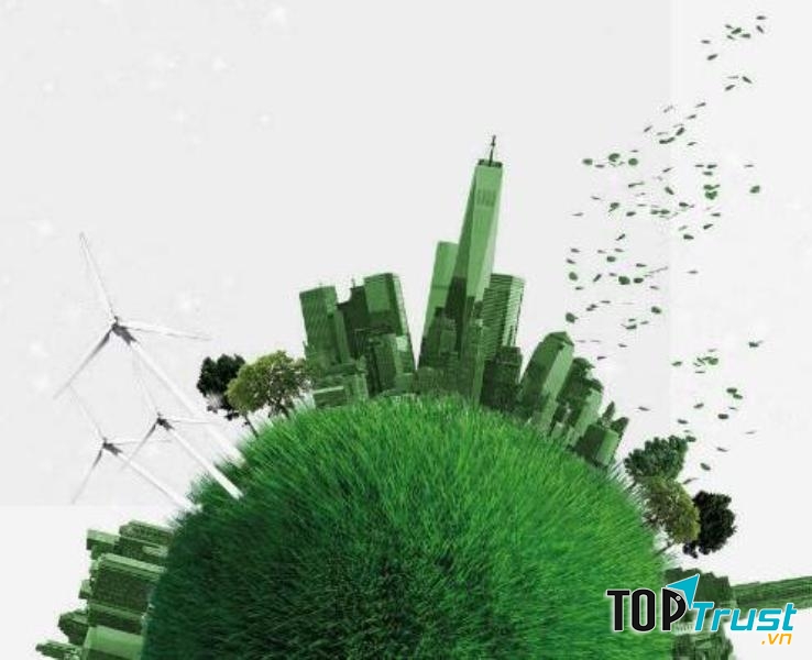 Loại sơn sinh thái phổ biến và được ưa chuộng nhất tại nước ta