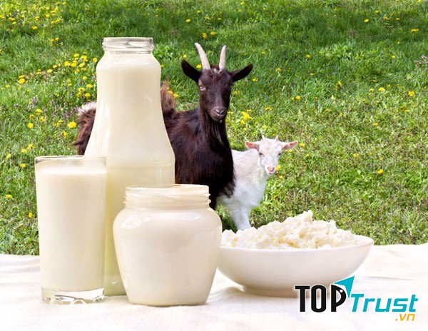 Loại sữa bột từ sữa dê giúp bé phát triển toàn diện tốt nhất hiện nay