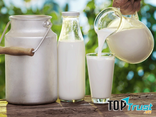 Loại sữa tươi không đường tách béo cho bà bầu tốt nhất hiện nay