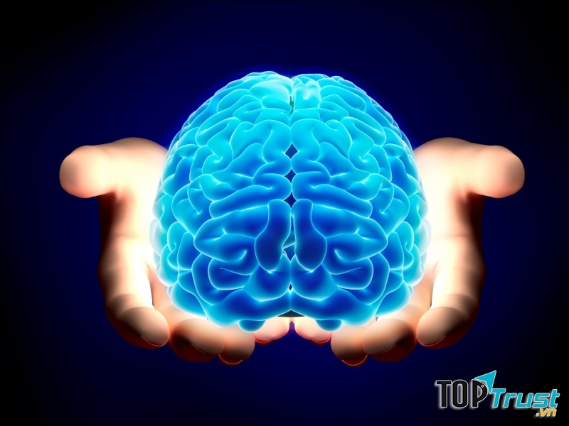 Loại thực phẩm có hại cho não và trí thông minh của bạn