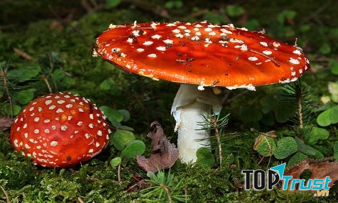 Loại thực phẩm nguy hiểm nhất tại Việt Nam hiện nay