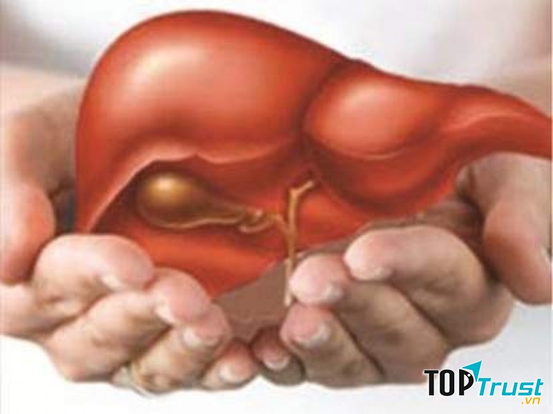 Loại thuốc giải độc gan tốt nhất hiện nay