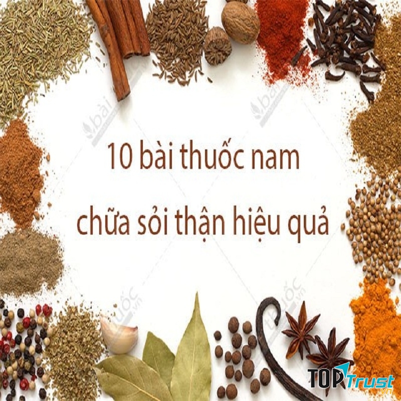 Loại thuốc trị sỏi thận tốt nhất hiện nay