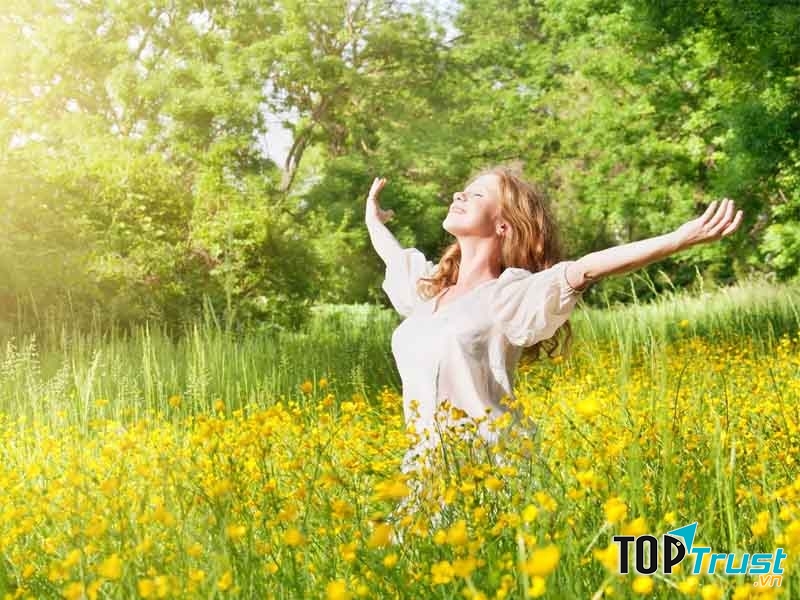 Loại tinh dầu tự nhiên được ưa chuộng nhất trong ngày nóng bức