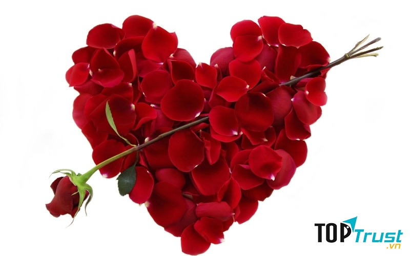 Lời chúc Valentine 14/2 hay và ý nghĩa nhất