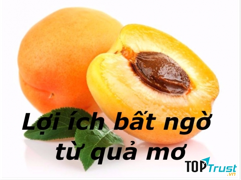 Lợi ích bất ngờ từ quả mơ có thể bạn chưa biết