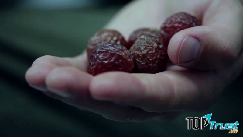 Lợi ích tốt nhất của quả bồ hòn mà ít ai biết