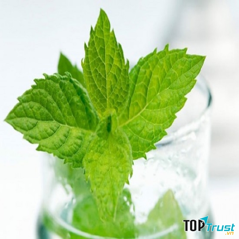 Lợi ích tuyệt vời của lá bạc hà đối với sức khỏe