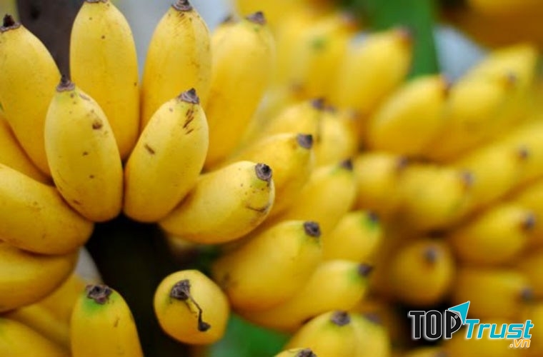 Lợi ích tuyệt vời từ trái chuối quen thuộc
