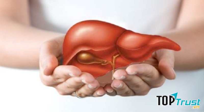 Lời khuyên của chuyên gia khi nhiễm virus viêm gan B