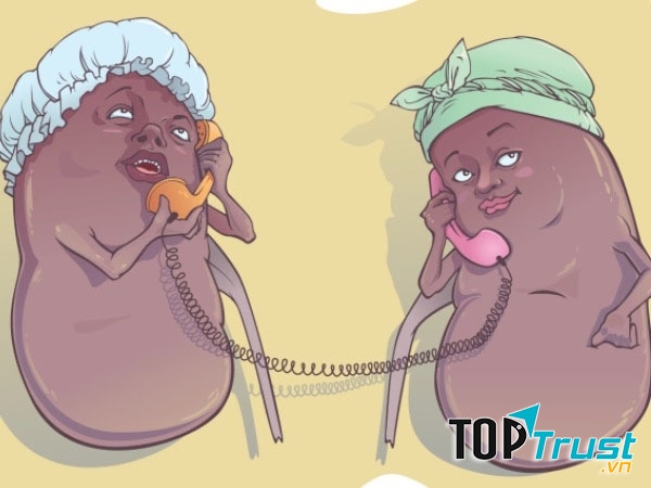 Lời khuyên dinh dưỡng cho người bị sỏi thận mau khỏi bệnh