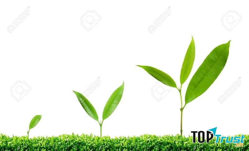 Lối sống cần tránh nếu bạn muốn phát triển bản thân