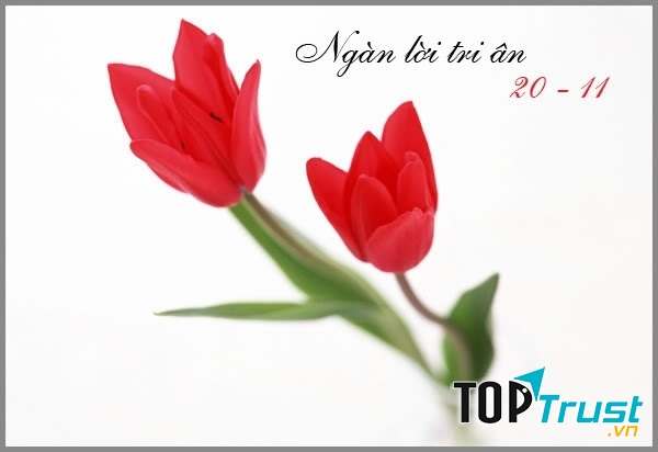 Lời tri ân thầy cô hay nhất nhân ngày 20-11