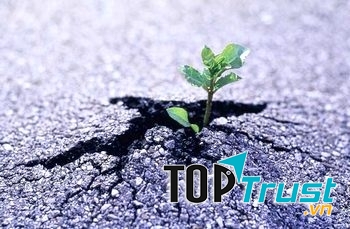 Lớp học miễn phí hữu ích mà bạn nên biết