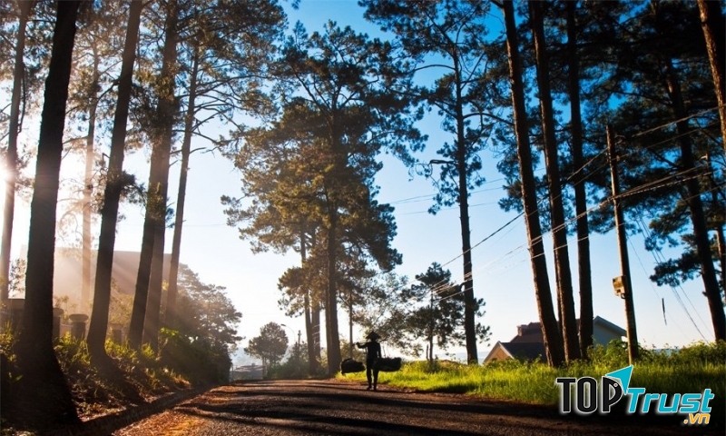 Lý do khiến bạn nhất định phải đến Đà Lạt một lần trong đời