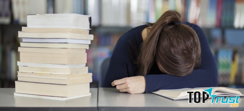 Lý do khiến sinh viên Việt Nam vẫn thất nghiệp nhiều dù đã tốt nghiệp Đại học