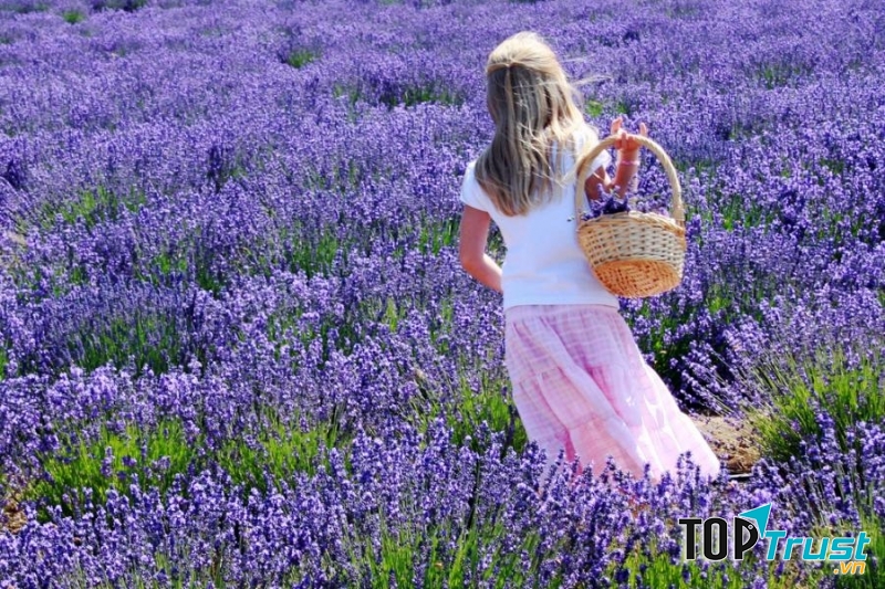 Lý do không ngờ khiến gái ế ngày càng nhiều