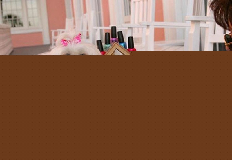 Máy mài móng cho chó mèo được tin dùng nhất hiện nay