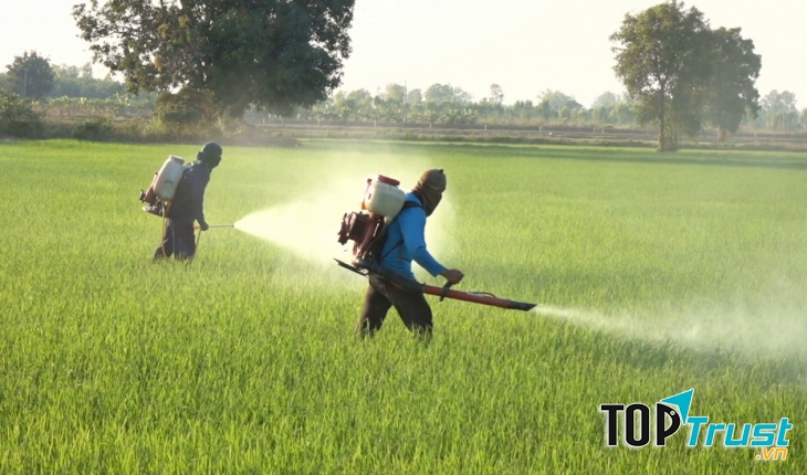 Máy phun thuốc trừ sâu phổ biến nhất hiện nay