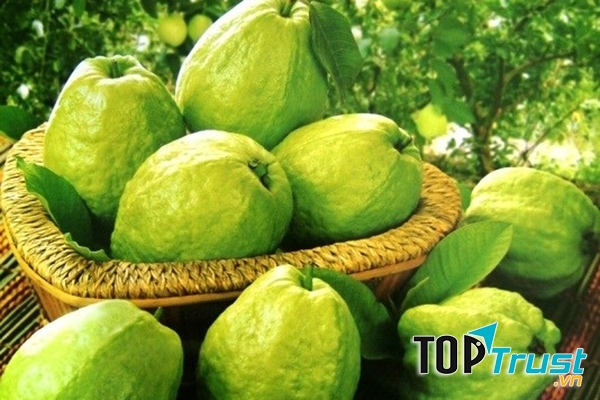 Mẹo dân gian hữu ích giúp chữa bệnh thường gặp bạn nên biết