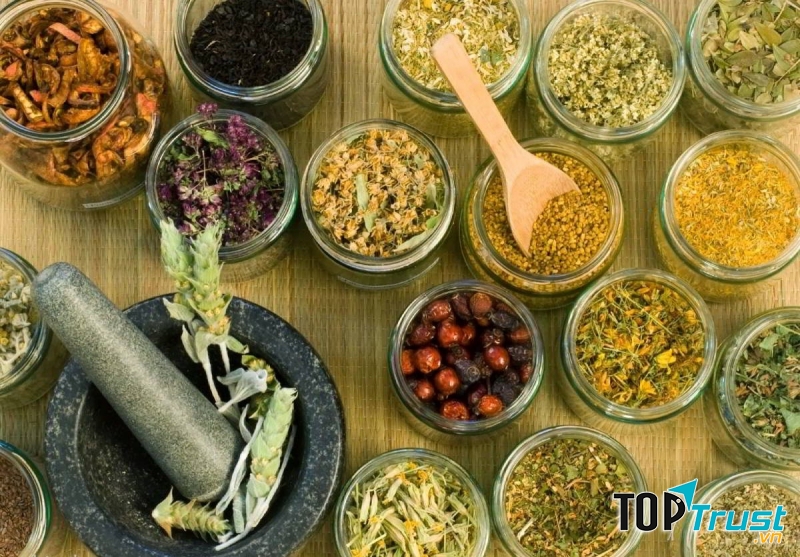 Món ăn hỗ trợ điều trị rối loạn tiền đình hiệu quả