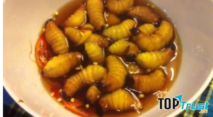 Món ăn Kinh dị nhất Việt Nam