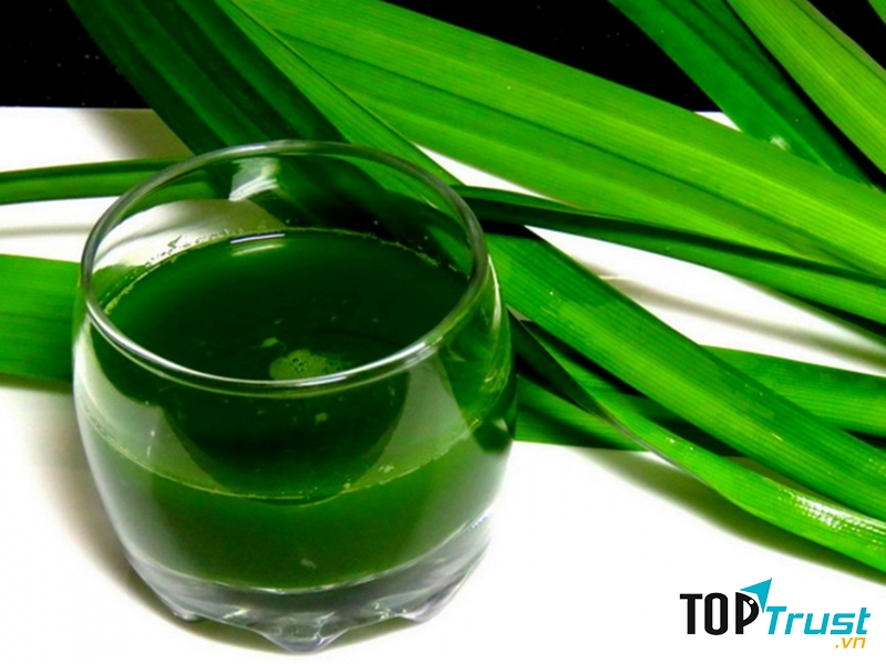 Món bánh từ lá dứa gợi nhớ tuổi thơ