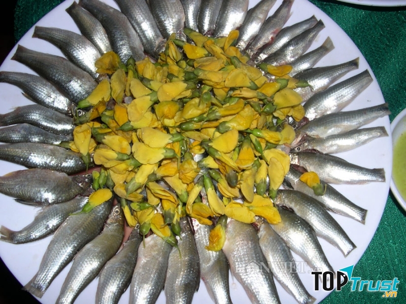 Món cá ngon bạn nên thưởng thức khi du lịch Đồng Tháp