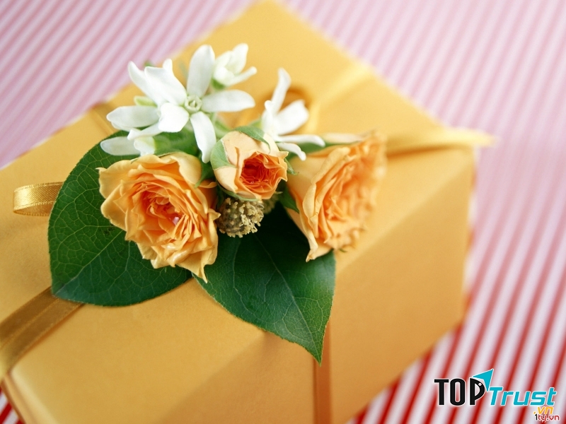 Món quà ý nghĩa nhất nên tặng các thầy cô vào ngày 20 tháng 11