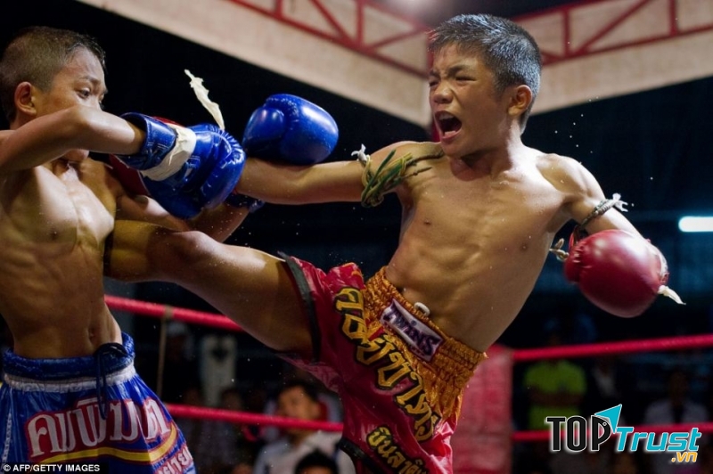 Môn võ phổ biến trên  thế giới