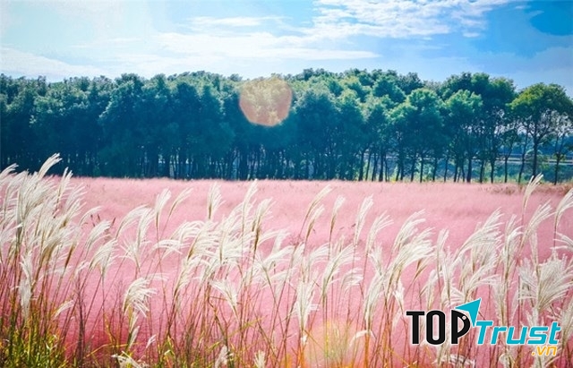 Nét đặc sắc của thiên nhiên chớm đông dọc miền đất nước