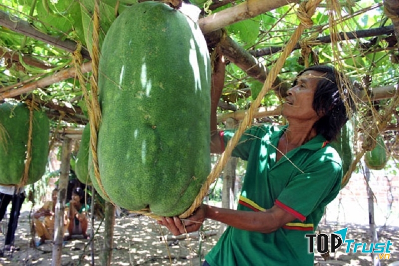 Ngôi làng kỳ lạ nhất của Việt Nam