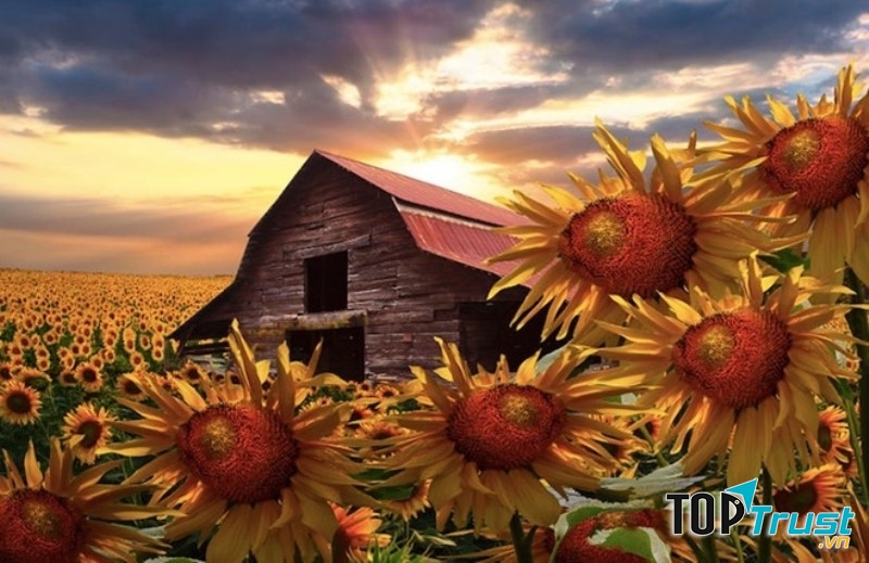 Ngôi nhà trang trại tuyệt đẹp ở Mỹ