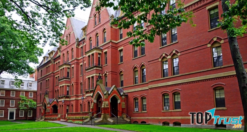 Ngôi trường đào tạo luật hàng đầu thế giới